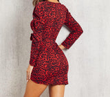 Robe Leopard Patineuse Col V Vue Arriere | Leopard Plus