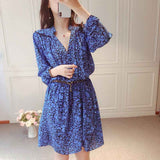 Robe Léopard Bleu | Leopard Plus