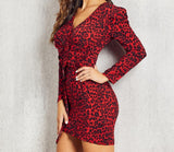 Robe Leopard Patineuse Col V Vue de Profil | Leopard Plus
