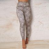 Legging Leopard Gris Avant | Leopard Plus