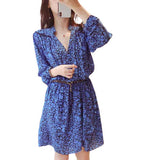 Robe Léopard Bleu | Leopard Plus