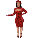 Robe Leopard Moulante à Mesh Découpée | Leopard Plus
